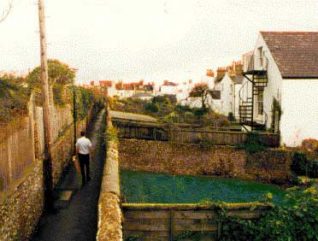 View over the back gardens