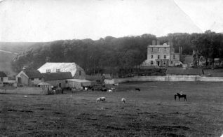 Woodingdean Farm buildings in the foreground, Woodingdean House in the background. All this area now covered with housing development. Click on image to open a large version in a new window. | From the private collection of Jennifer Drury: click on the imgage to open a large version in a new window.