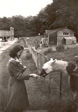 Photograph of Brighton Zoo at Withdean | Photo by Kathleen Wilson